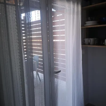 Gatos House 2