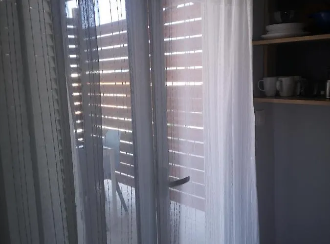 Gatos House 2